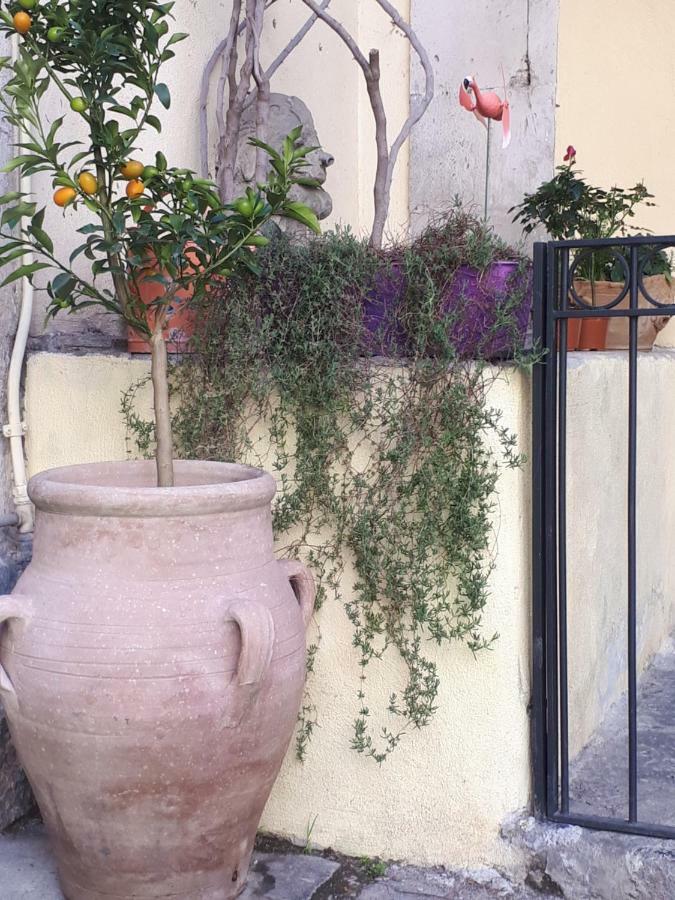 Mamarico' Apartamento